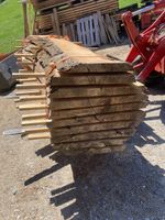 XXL Birnenbaum 