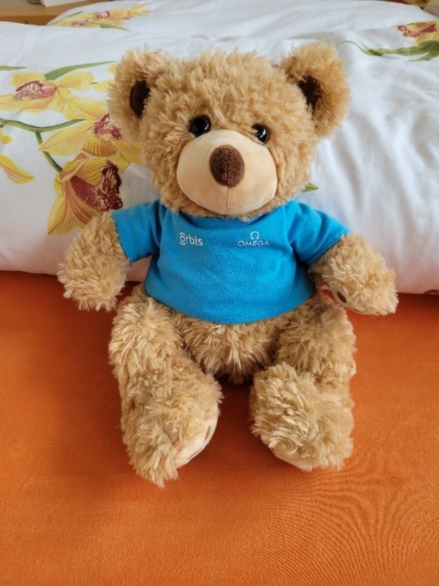 Spielzeuge: Original Omega Orbis Teddybär der Hilfsorganisation Orbis – Gebraucht aus Altdorf UR von Nordwing