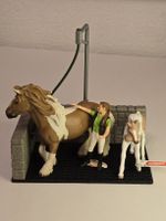 Schleich Pferdewaschplatz mit Pferd, Fohlen und Reiterin