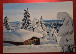 Sjusjoen LillehammercNorwegen 1987