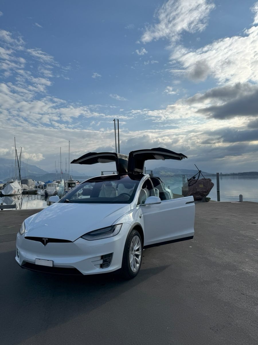 Tesla Automobili: Tesla Model Long Range Raven, 10/2020, 5-Sitzer – Usato da Zug venduto da flo_fb9f 9