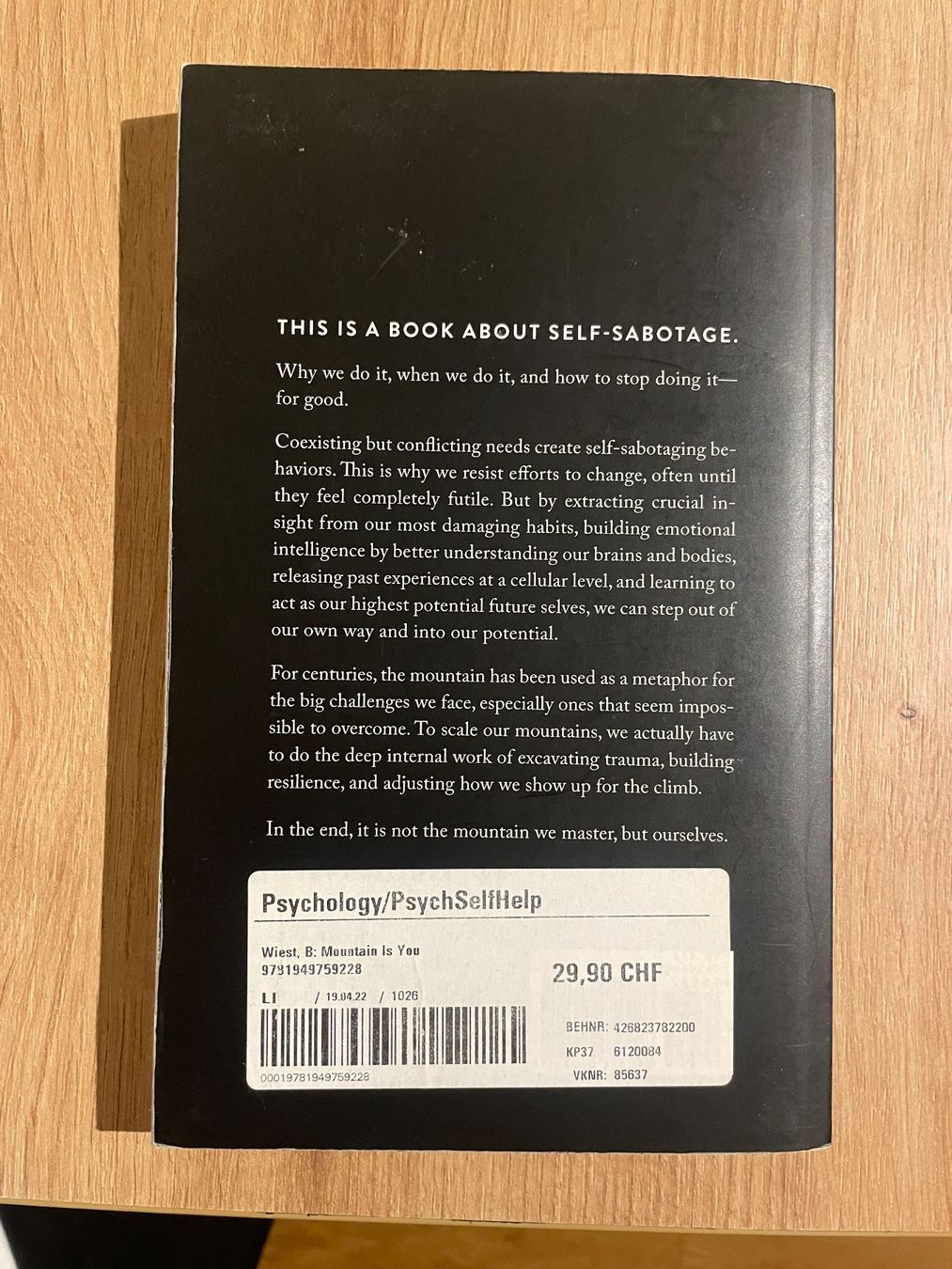 Libri: The Mountain is You – Usato da Zürich venduto da Angelina.8032 1