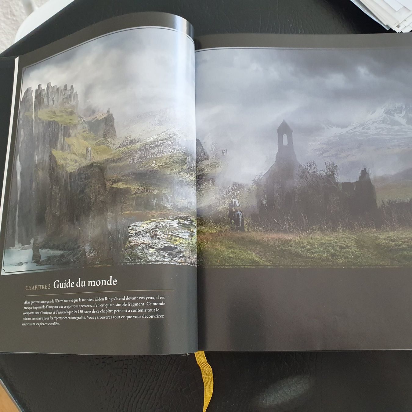 Bücher: Guide Elden Ring - Les tomes du savoir volume 1 – Gebraucht aus Suhr von Lavigie 2
