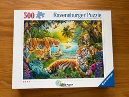 500 Puzzle: Tiger Family in the Oasis
