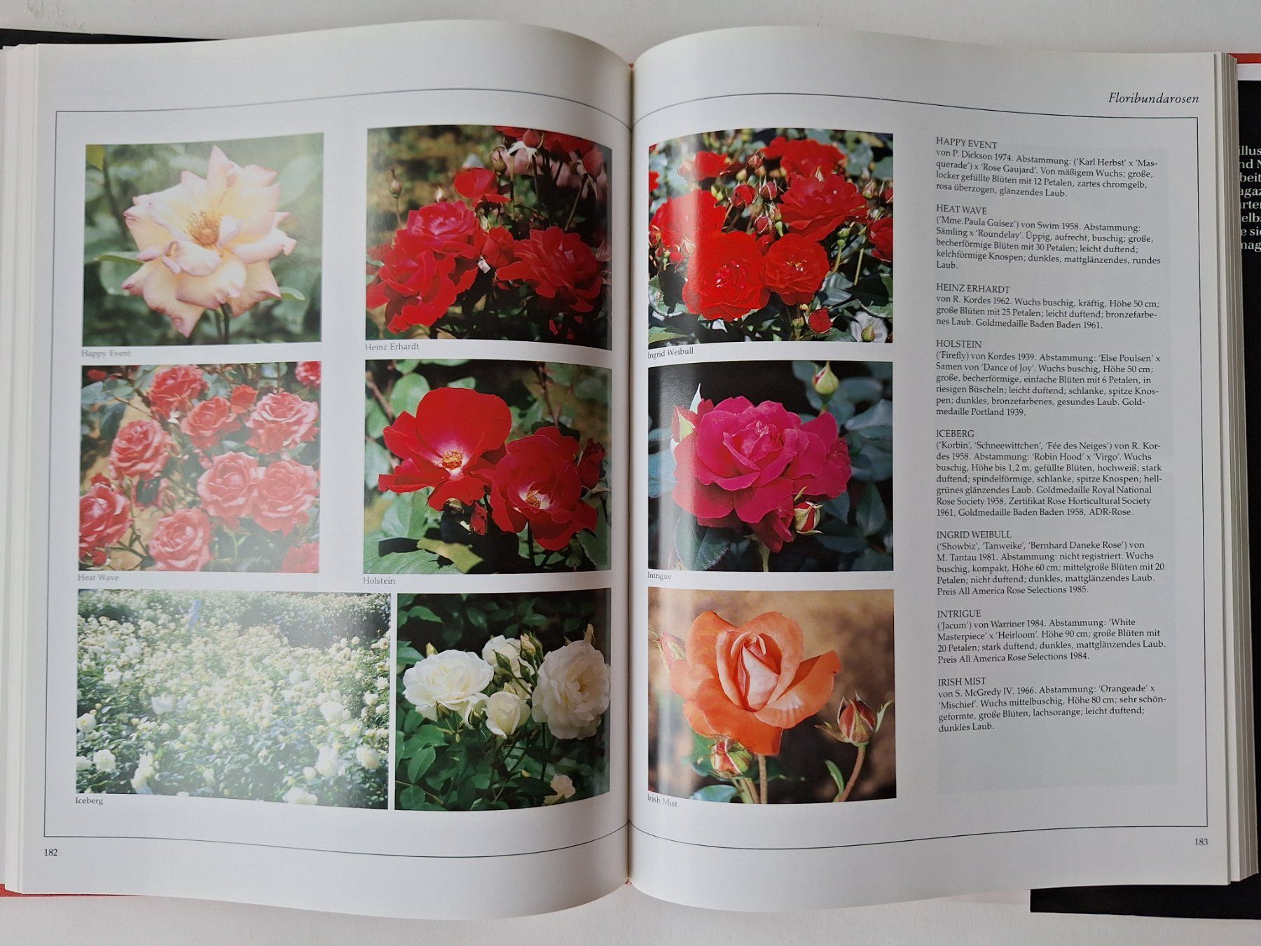 Libri: Das grosse Buch der tausend Rosen – Usato da Zürich venduto da t24_de 6