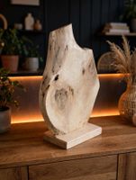 UNIKAT 60x50x20cm Waldholz Lampe RGB