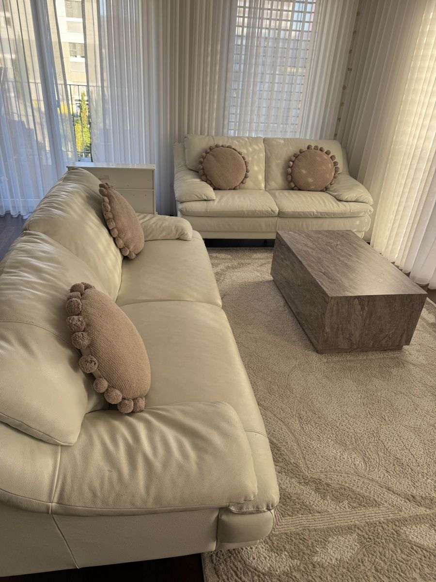 Divani: Sofa – Usato da Regensdorf venduto da lat_8nvw 3
