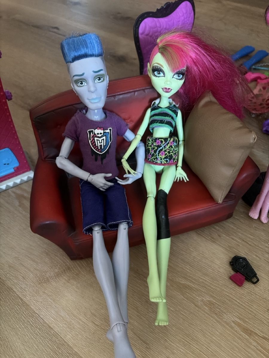 Bambole: Monster High Puppen plus Zubehör  – Usato da Rüti ZH venduto da Butterfly206cc 7