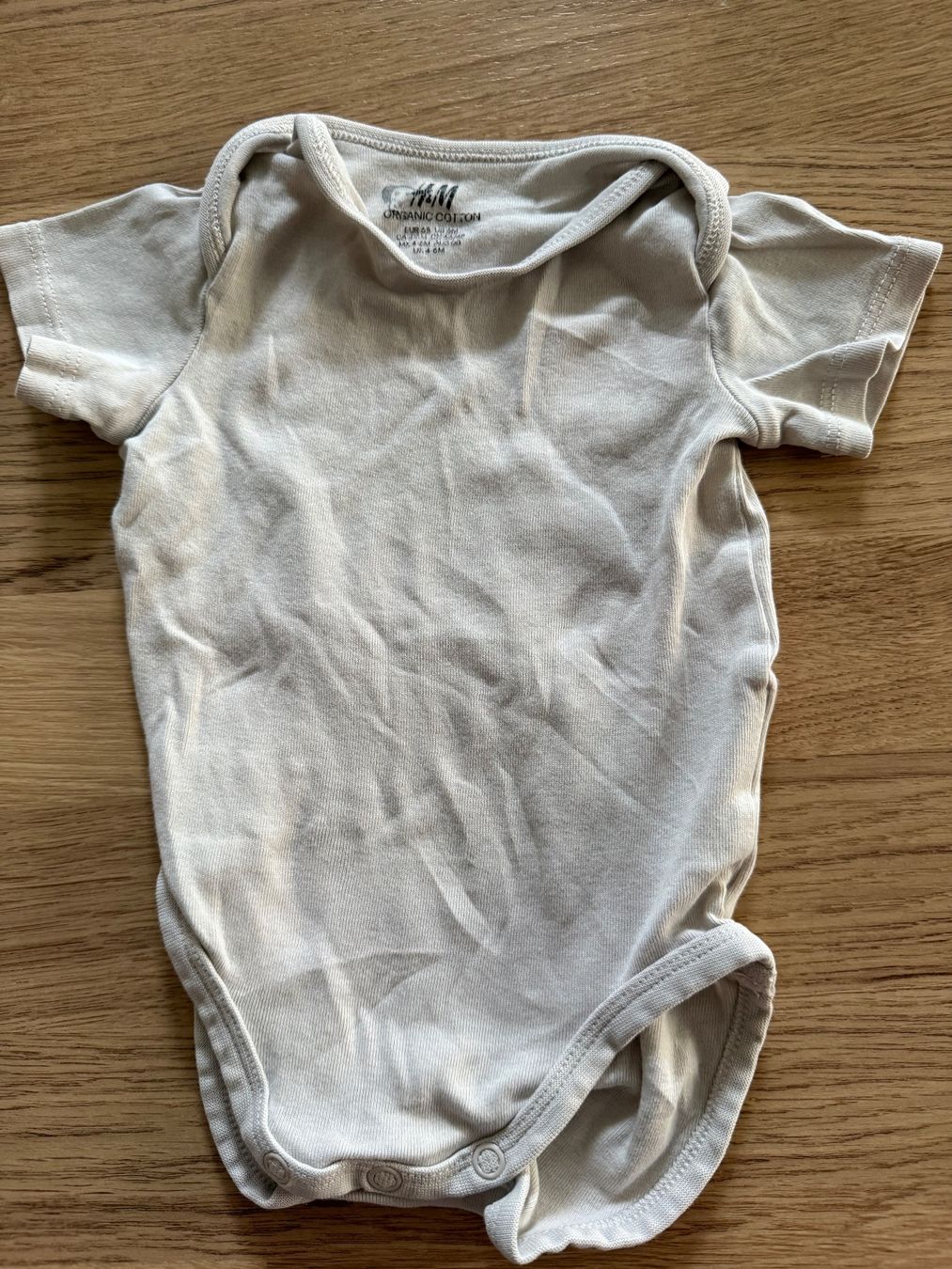 Lotti & Set di vestiti: 4 Body kurzarm Grösse 68 – Usato da Dottikon venduto da dcwidmer 1