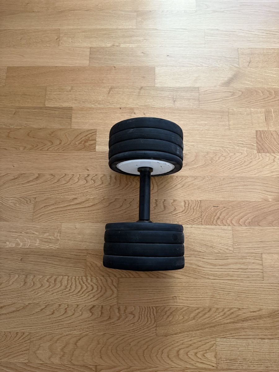 Poids & Haltères: 30kg Hantel – D'occasion à Münchenstein par pau_l2gw