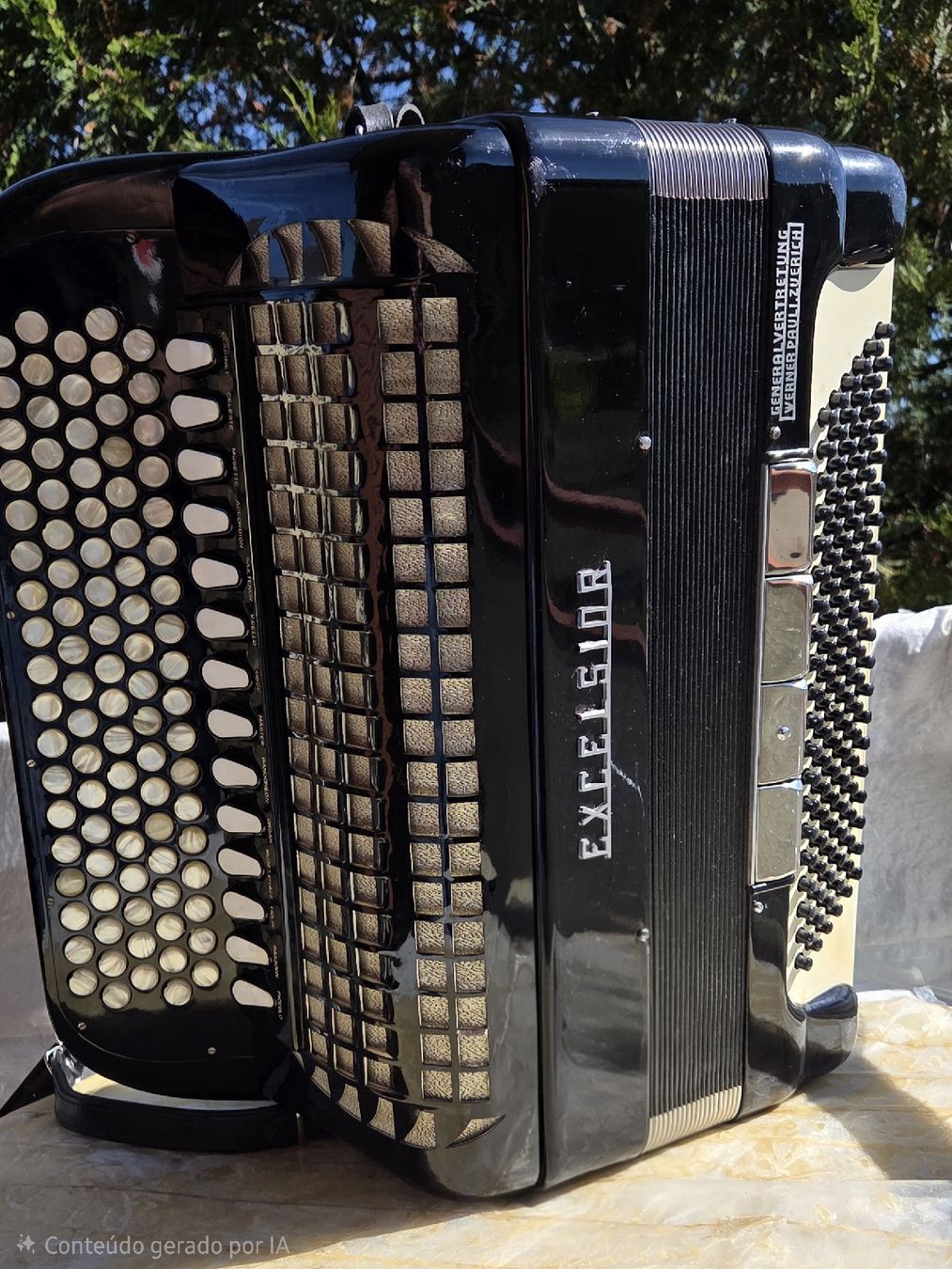 Excelsior Musikinstrumente: Accordéon Excelsior cassoto – Gebraucht aus Penthalaz von EvandroLuz 2
