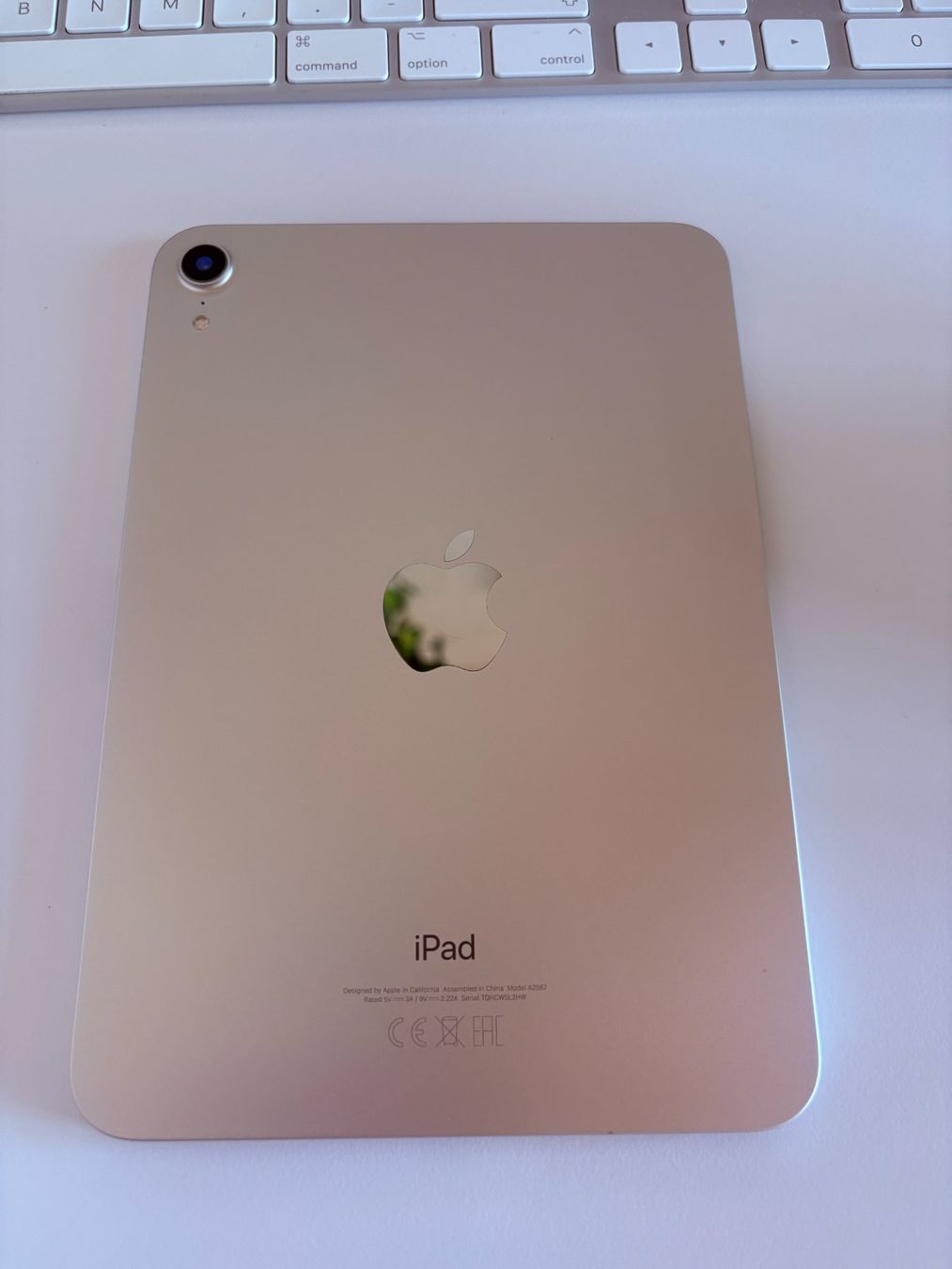 Apple Tablet PC: iPad mini 6 mit 64 GB mit Schutzhülle – Usato da Winterthur venduto da jajaegal 4