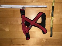 Harnais rembourré pour chien – Rouge et noir – Réglable