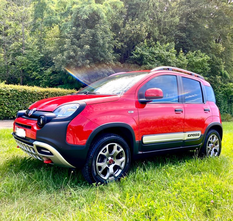 Fiat Panda Cross Gebraucht