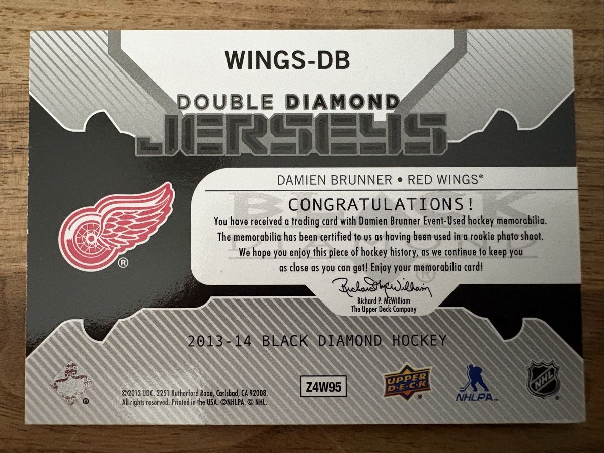 NHL Sammelbilder & Trading cards: Game Jersey Card Damien Brunner – Neu (gemäss Beschreibung) aus Uttigen von Brainbug 1
