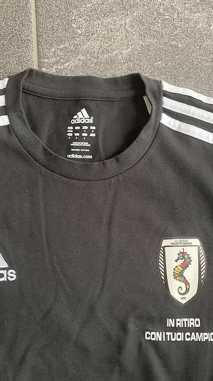 Adidas T-shirt: Adidas T-shirt – Usato da Hochdorf venduto da suatvid 1