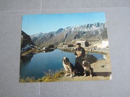 Photo Café- restaurant ST-Bernard VS