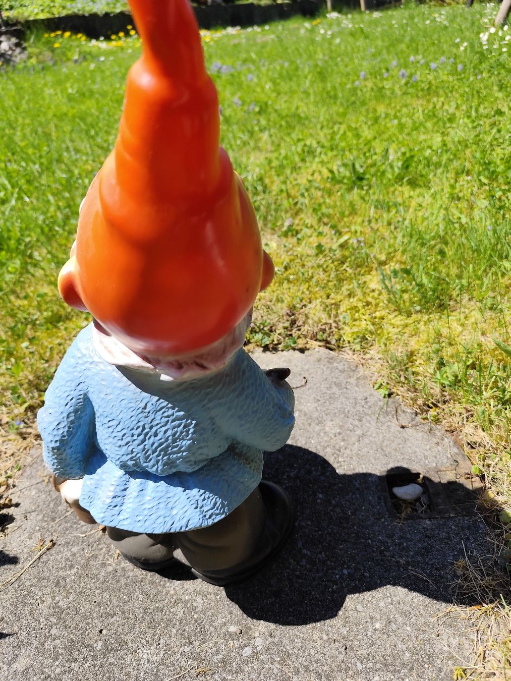 Statuette: Gartenzwerg neu – Nuovo (secondo la descrizione) da Grossdietwil venduto da bie_2bn5 3