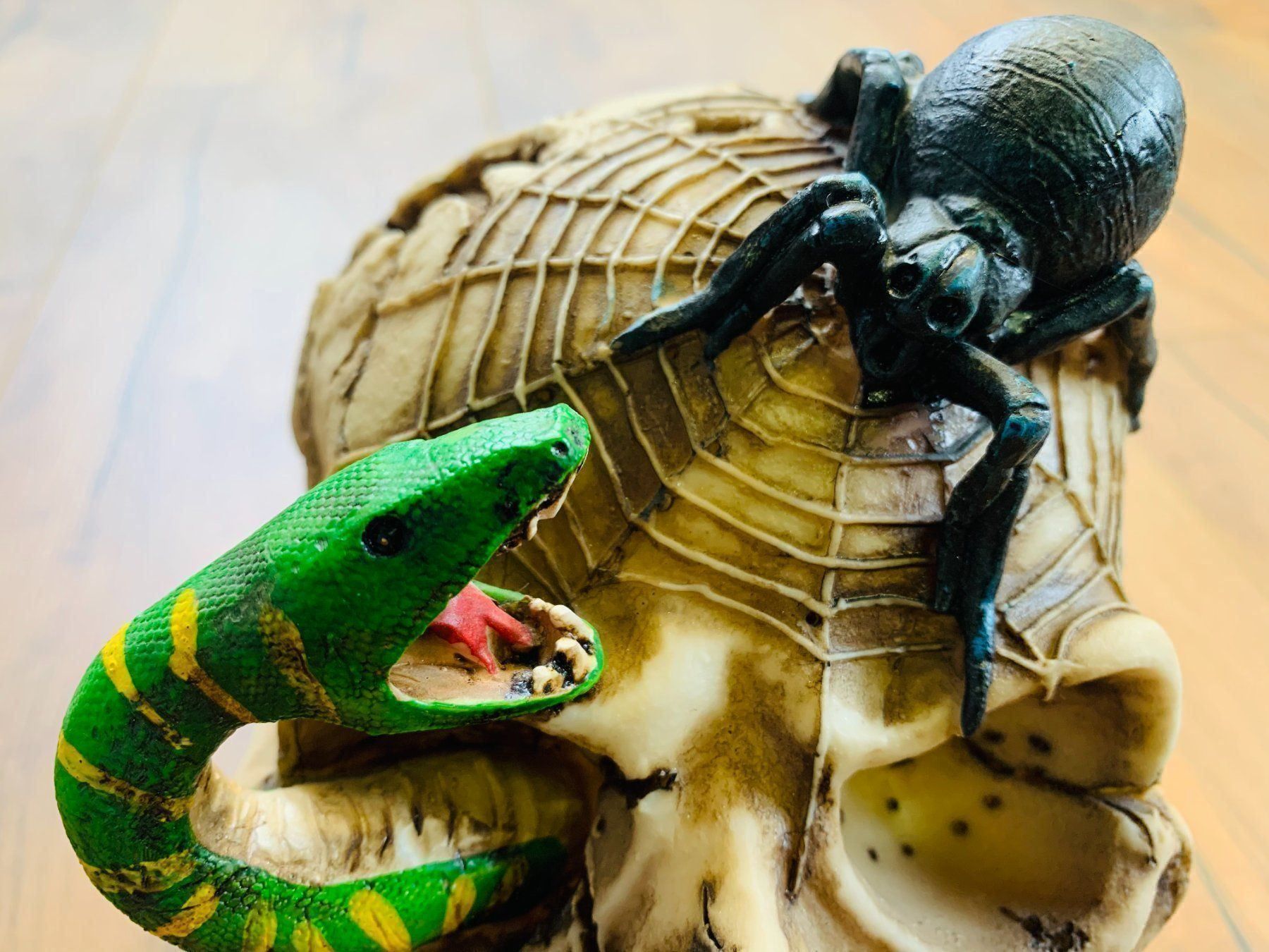 Sculture & Statue: Totenschädel Schädel SKULL Spinne 22cm NEU – Nuovo e nell'imballaggio originale da Bergdietikon venduto da shopAgent 4