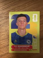 Panini Fifa BIH 5