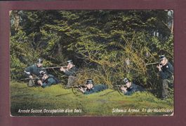 MILITAIRE - Armée suisse - Occupation d'un bois