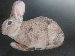 Hasenkissen sehr schön