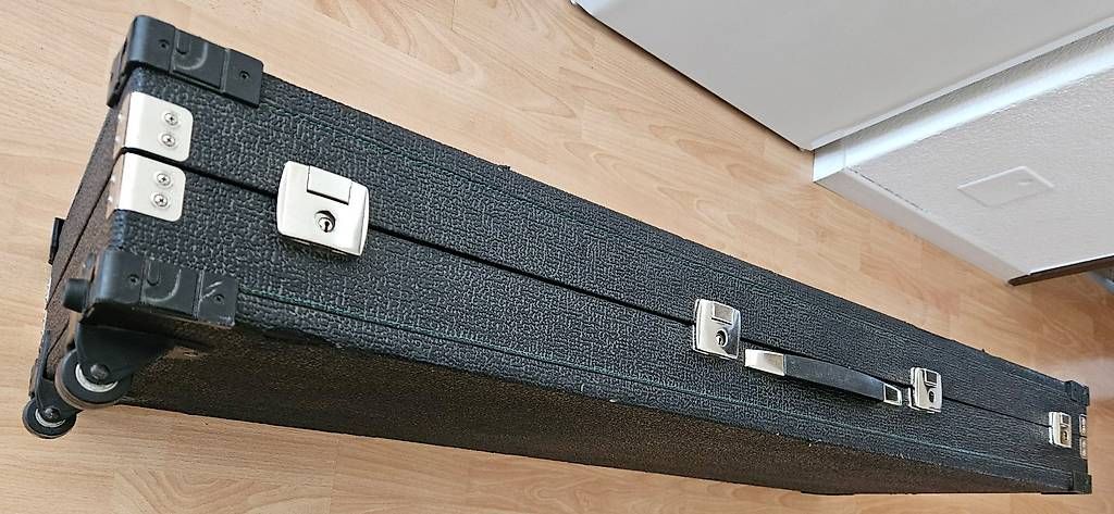 Strumenti musicali: Solton SD1 mit Koffer – Usato da Egerkingen venduto da pen_n7zc 1