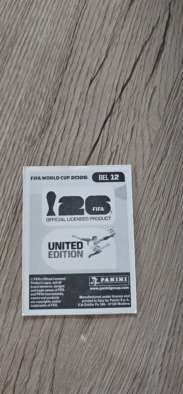 Panini Carte collezionabili: Fifa World Cup Panini BEL 12 – Nuovo (secondo la descrizione) da Biel VS venduto da volcom8702 1