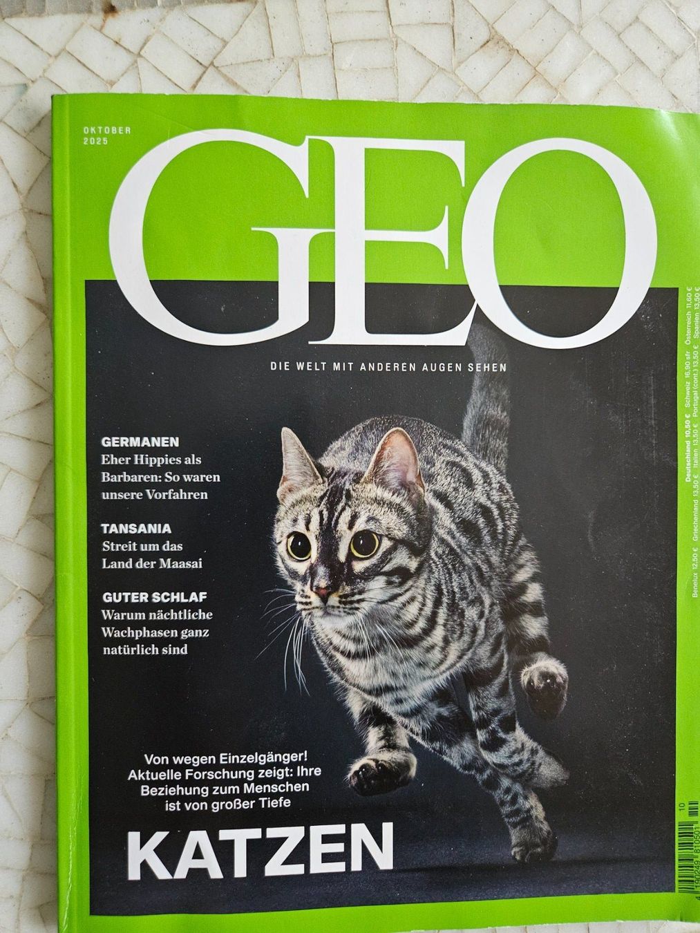 Revues & Magazines: GEO, Die Katzen – D'occasion à Zürich par lorenzo167