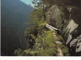 Wässerwasser 1980