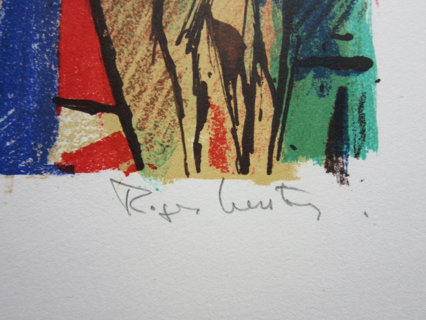 Grafica & Litografie: ROGER GERSTER LITHOGRAPHIE SIGNIERT NUMMERIERT – Usato da Gersau venduto da grafik-kunst 2