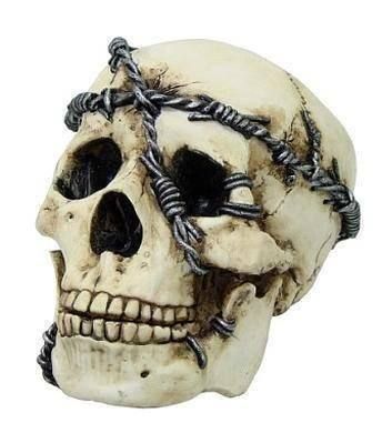 Statuette: SCHÄDEL MIT STACHELDRAHT UMWICKELT – Nuovo (secondo la descrizione) da Rupperswil venduto da big-one-sale