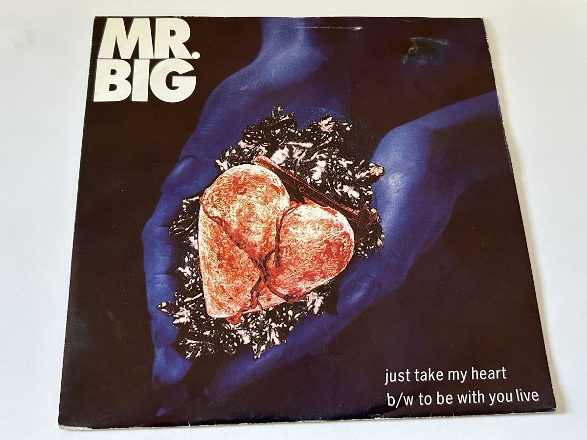 Schallplatten: Mr. Big. 1992. just take my hart – Gebraucht aus Faulensee von Mizuno06