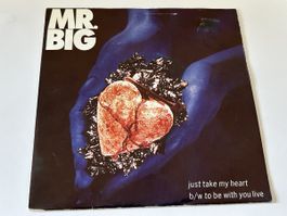 Mr. Big. 1992. just take my hart
