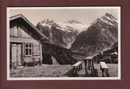 DAUBE - Schynige Platte