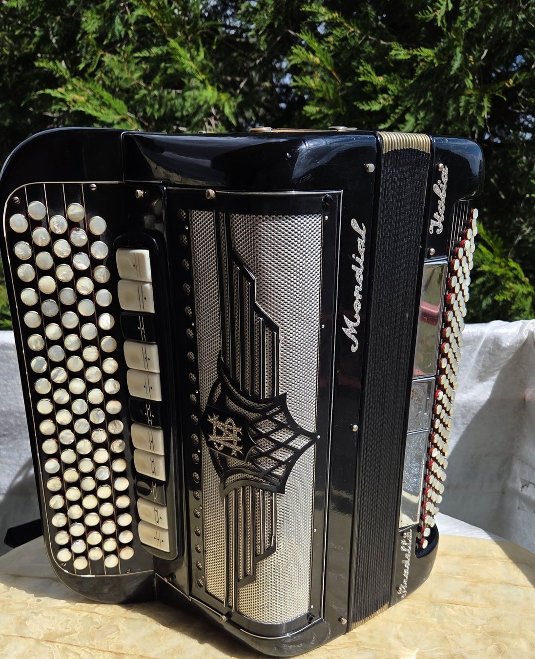 Musikinstrumente: Accordéon Stradella à Gradin 4 voix – Gebraucht aus Penthalaz von EvandroLuz 2