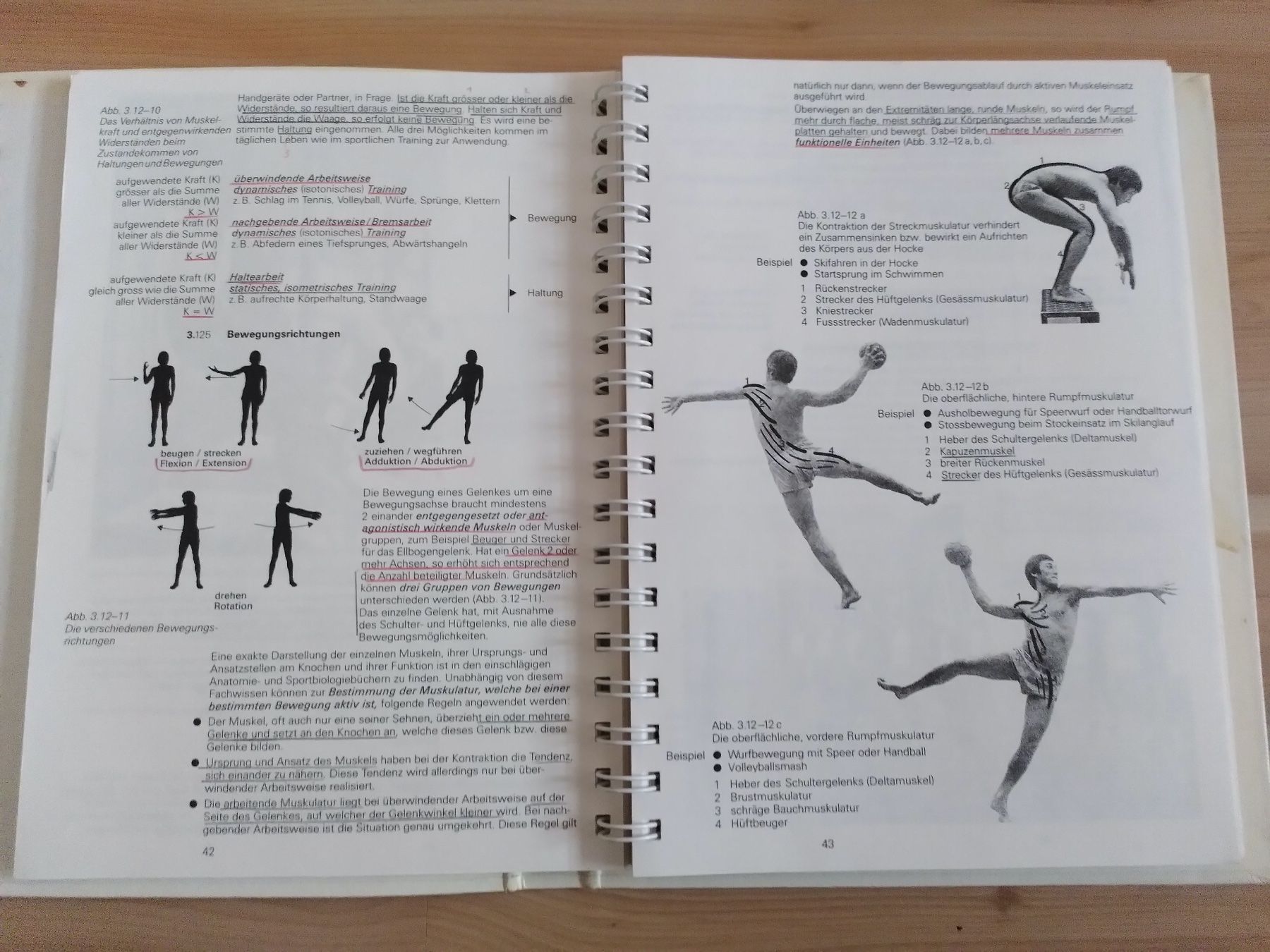 Libri: TURNEN UND SPORT 1/ THEORIE – Usato da Brugg AG venduto da olamim 5