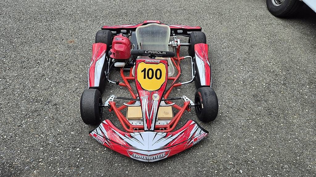 Go-Kart: Kart Puffo, Bambini, Delfino – Usato da Oberstocken venduto da jaspet
