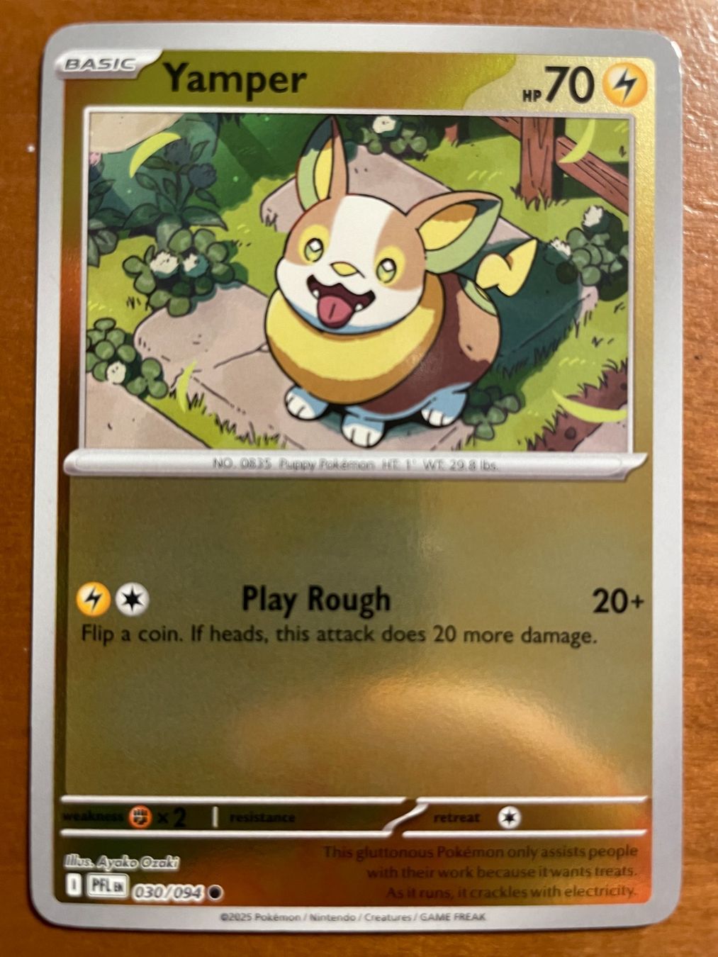Pokémon Carte collezionabili: Pokemon Yamper Reverse (Versand gratis) – Nuovo (secondo la descrizione) da Chur venduto da Angerson