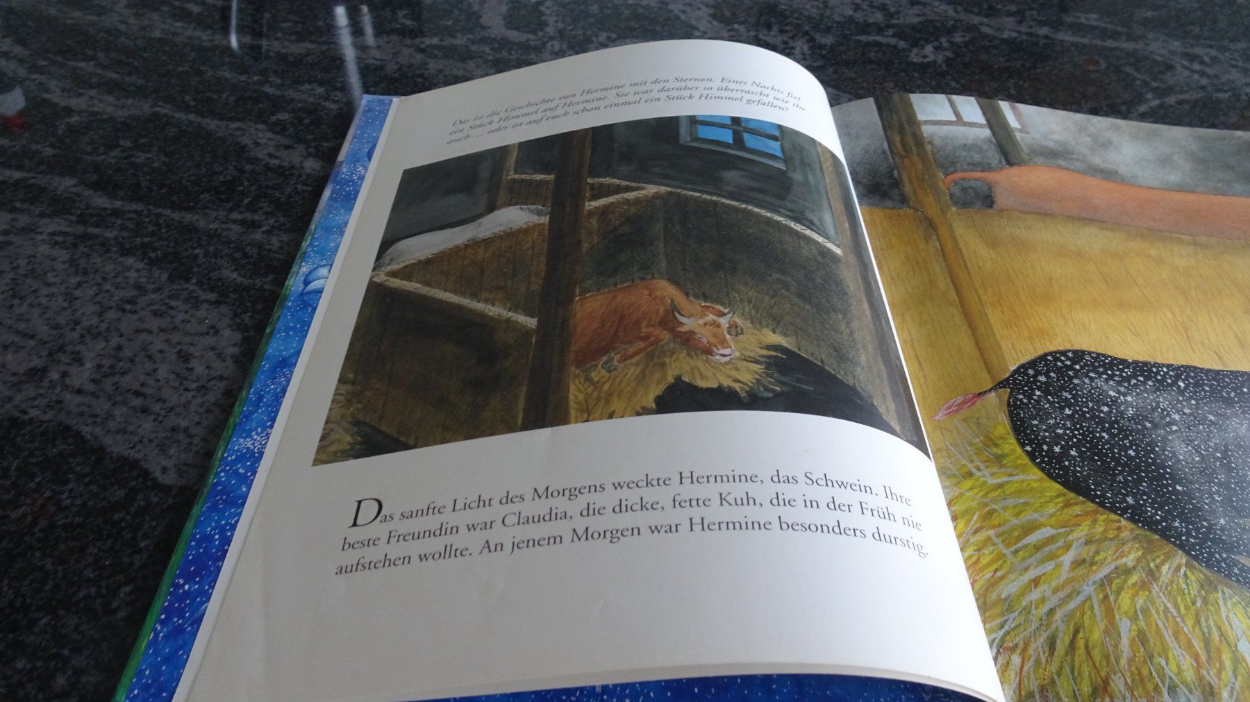 Bücher: HERMINE das Schwein   Bilderbuch – Gebraucht aus Zürich von Roulet 2