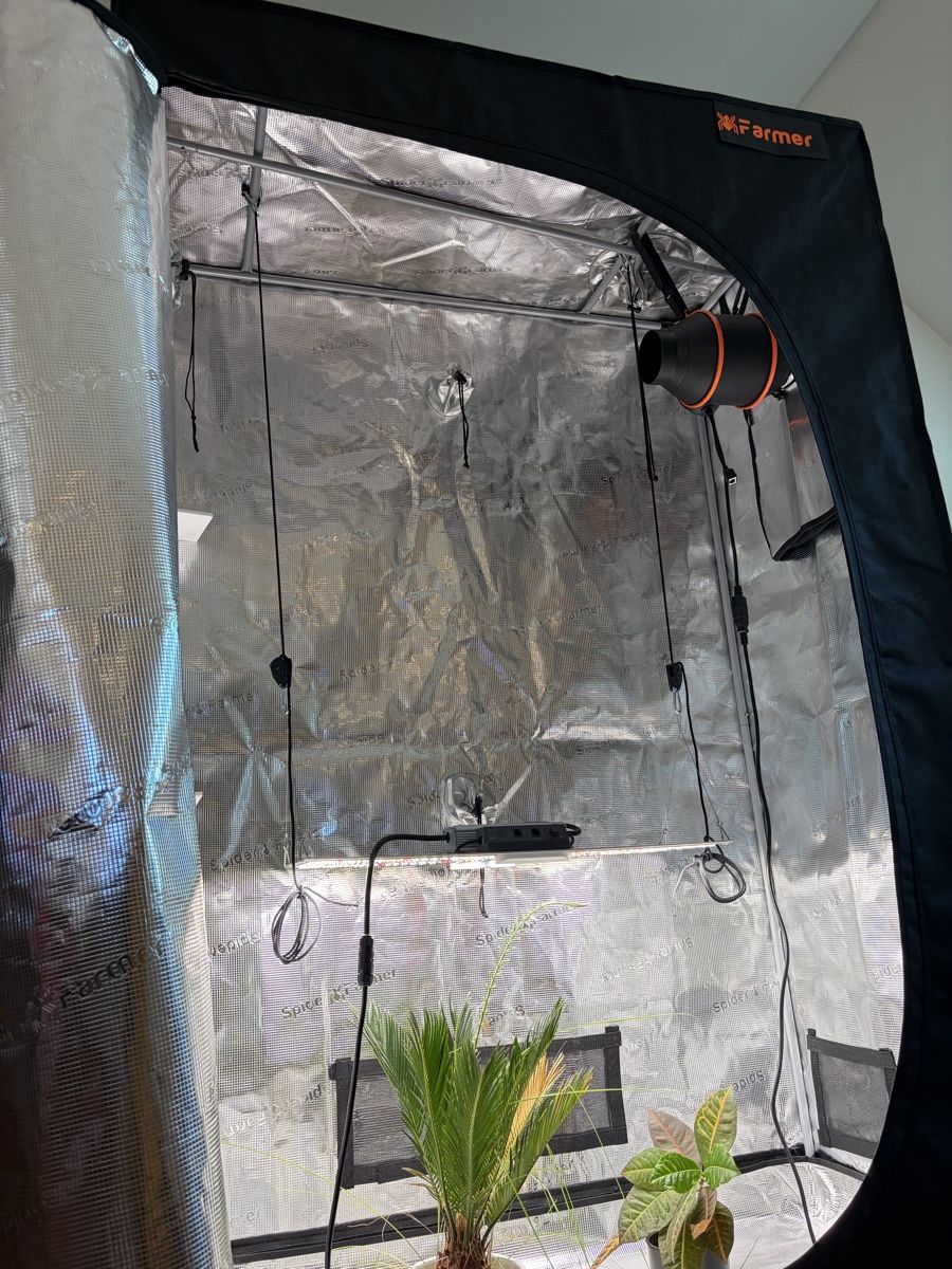 Homebox Altro: Grow Zelt Indoor – Usato da Bern venduto da paulliii 4
