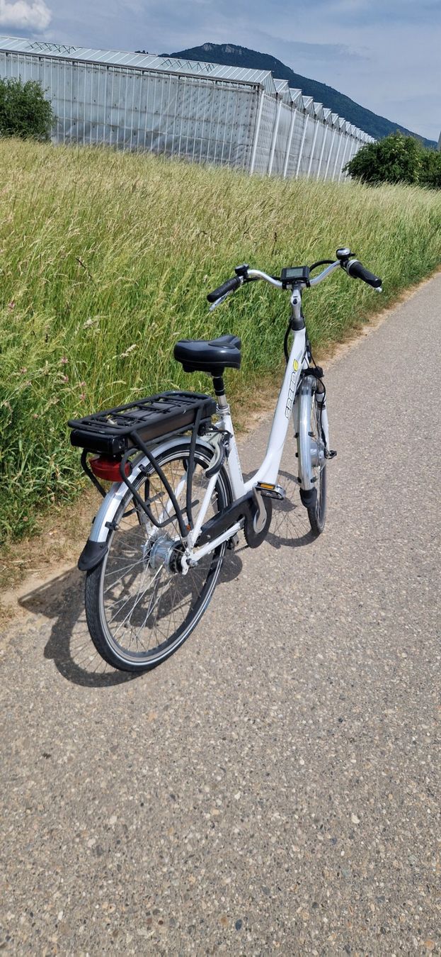 Biciclette: E-Bike – Usato da Niederbipp venduto da jar_ld82 2