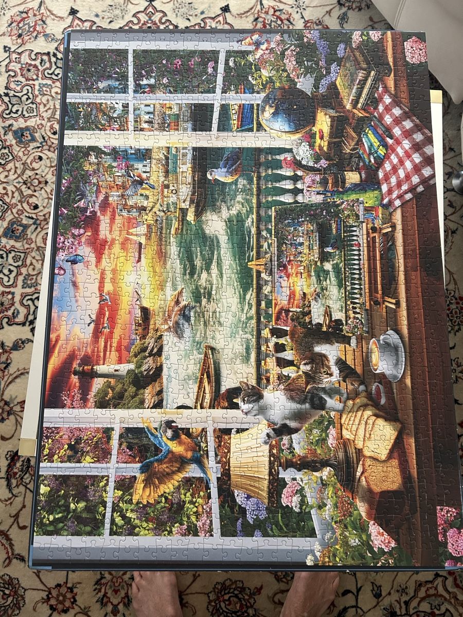 Puzzles:  2 Stk Puzzle "Window view" 1000 Teile vollständig mit Box – D'occasion à Männedorf par Raendy 2