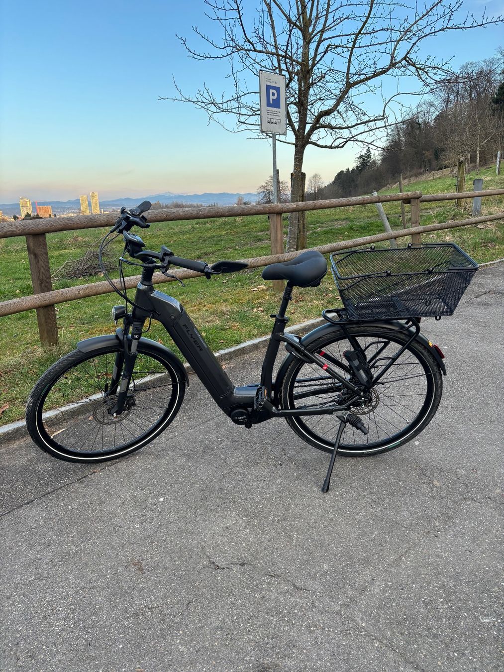 Flyer Velos: Flyer Gotour 2 5.00 – Gebraucht aus Zürich von mgl_9nnh