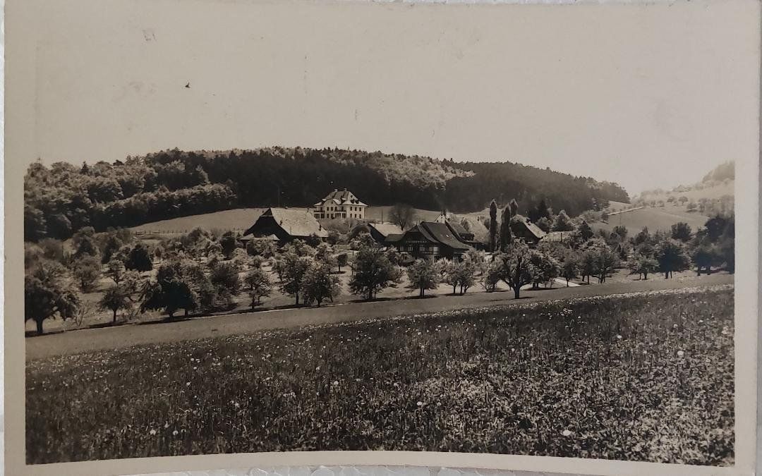 Cartoline postali: BUBENDORF - Arxhof - 1933 – Usato da Delémont venduto da Domdom1