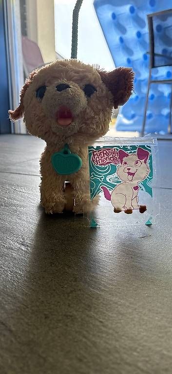 FurReal Spielzeuge: Furreal Friends  Mein Hund – Gebraucht aus Bellach von Fschoenbaechler 1