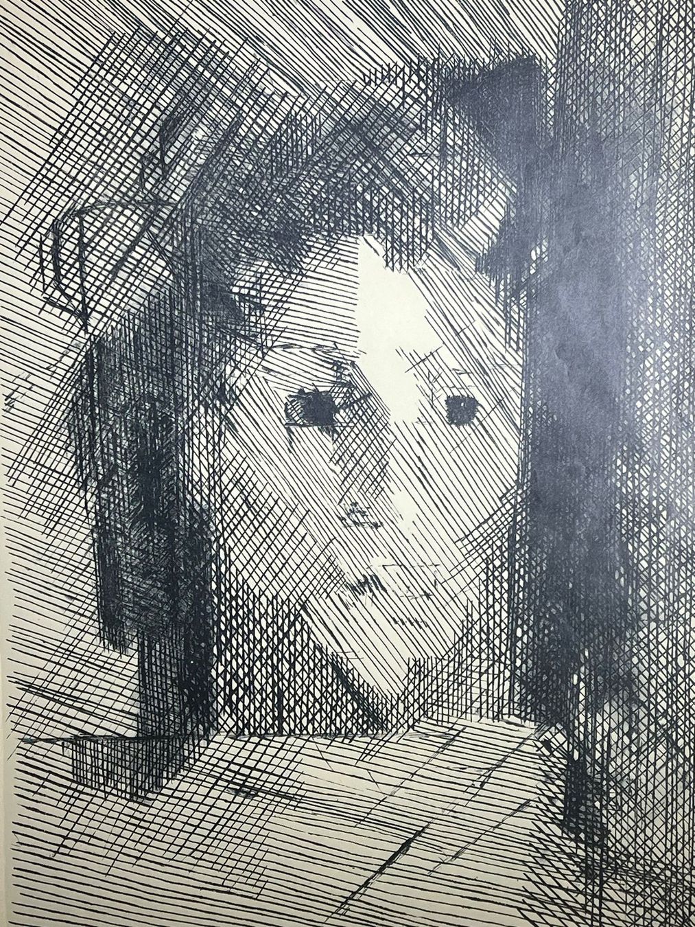 Foto & Immagini: Jacques Villon ,1875 - 1963 / Junges Mädchen / Plakat – Usato da Brüttisellen venduto da Betty_1972