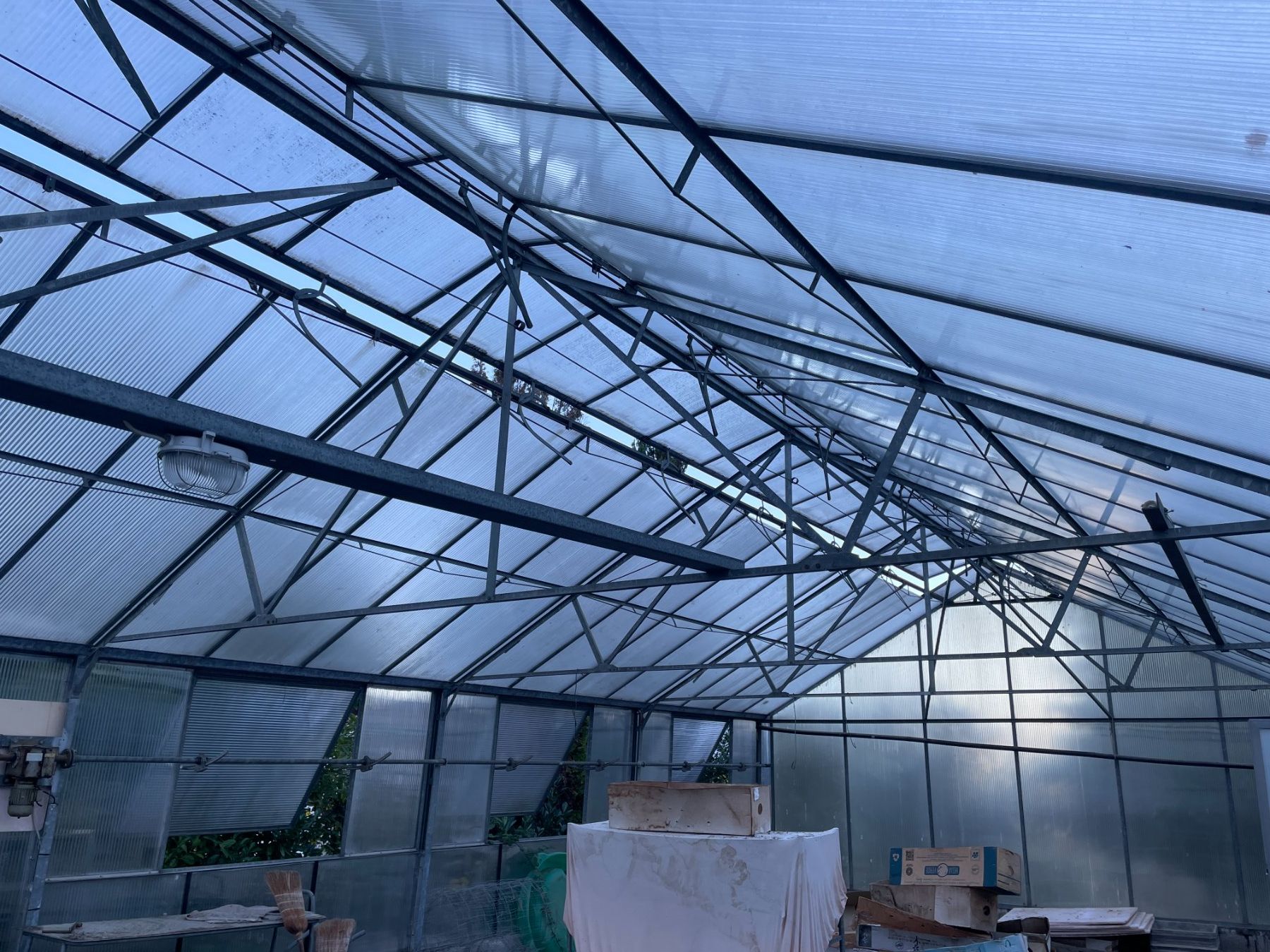 Cabanes de jardin & serres: Diverse Gewächshäuser zum abholen – D'occasion à Muri AG par Koch60 1