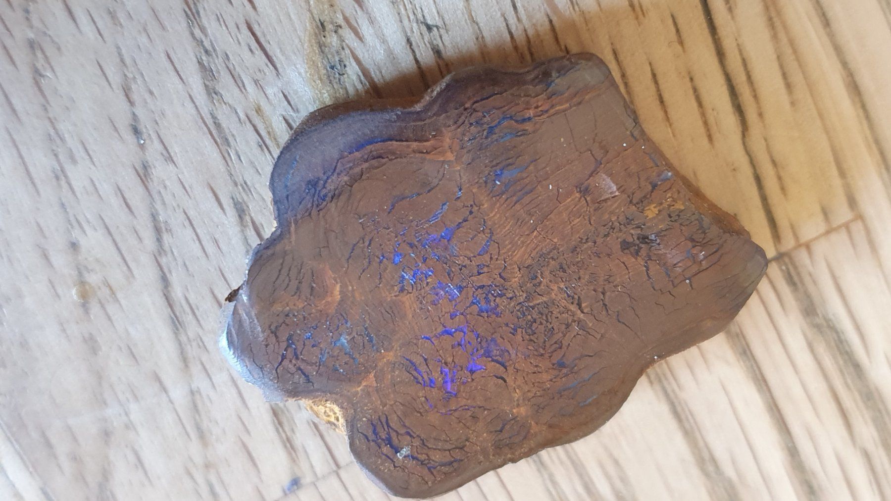 Fossili: Boulder Opal – Usato da Flawil venduto da Pinkmalibu 5