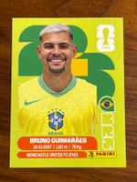 BRA 11 Panini WM26